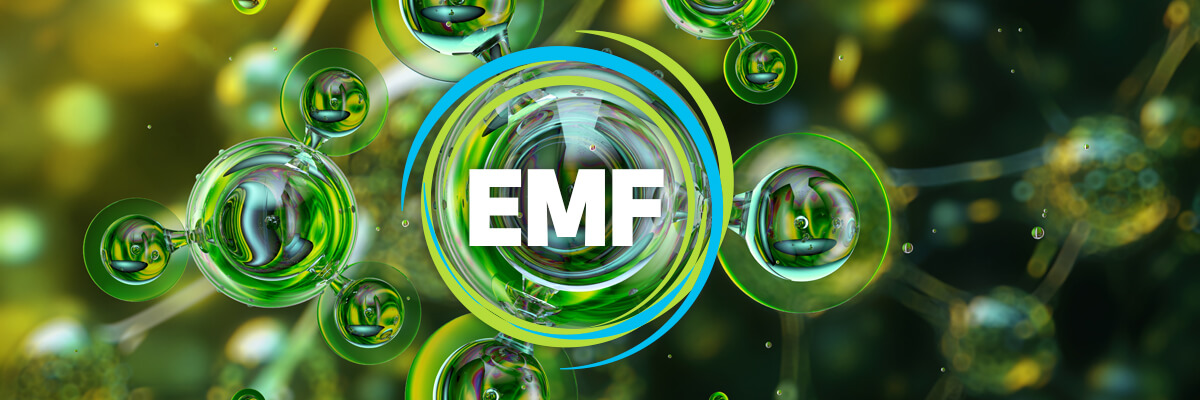 IMO hits carbon-intensive vessels with fees-EMF-Maritimefinance